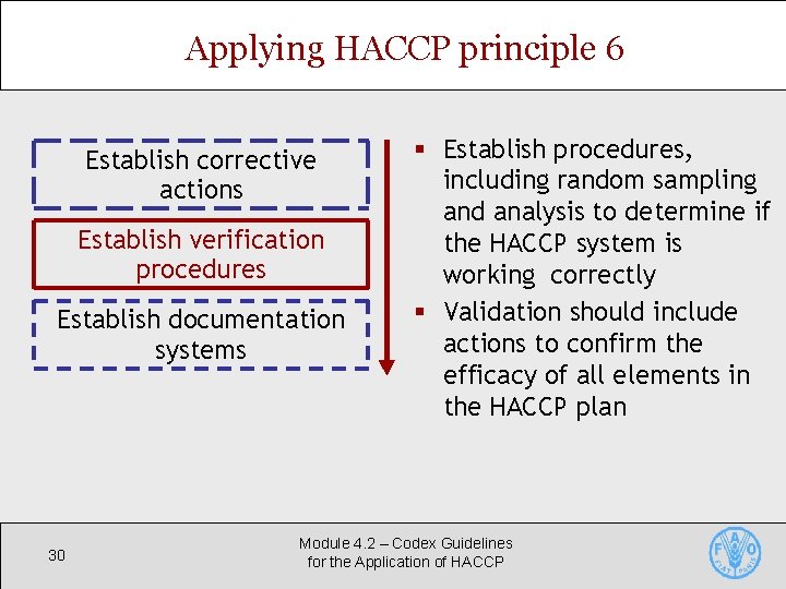 Applying HACCP principle 6 Establish corrective actions Establish verification procedures Establish documentation systems 30