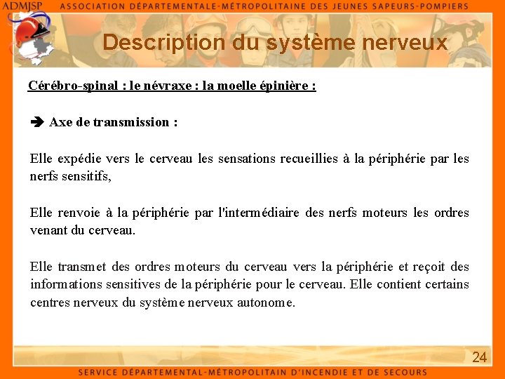 Description du système nerveux Cérébro-spinal : le névraxe : la moelle épinière : Axe