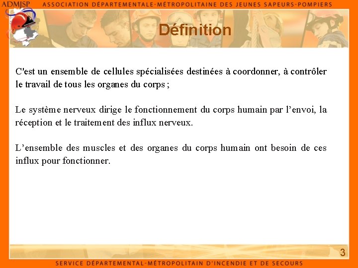 Définition C'est un ensemble de cellules spécialisées destinées à coordonner, à contrôler le travail
