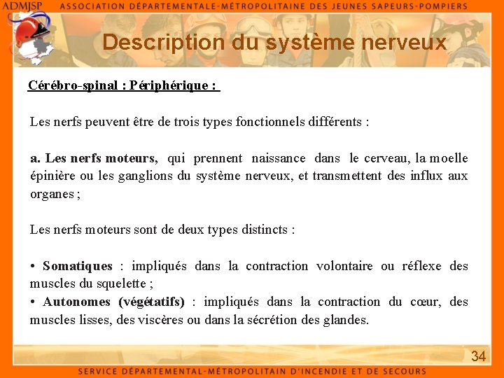 Description du système nerveux Cérébro-spinal : Périphérique : Les nerfs peuvent être de trois