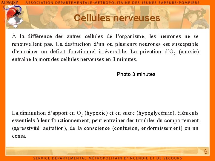 Cellules nerveuses À la différence des autres cellules de l’organisme, les neurones ne se