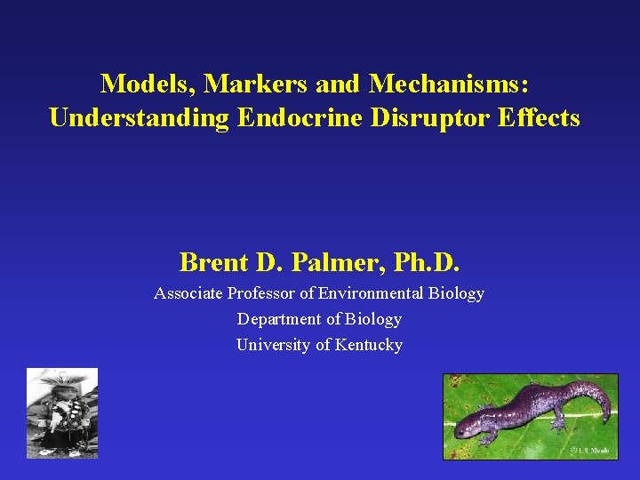 Models, Markers and Mechanisms: Understanding Endocrine Disruptor Effects Brent D. Palmer, Ph. D. Associate