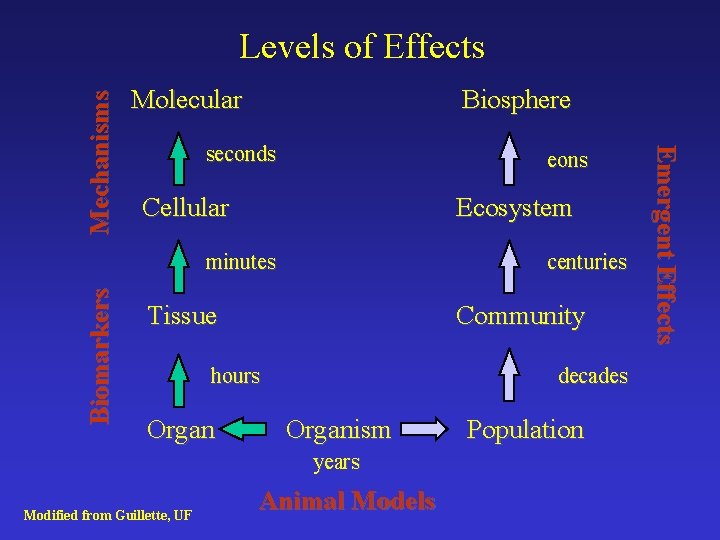 Molecular Biosphere seconds eons Cellular Ecosystem Biomarkers minutes centuries Tissue Community hours Organ decades Molecular Biosphere seconds eons Cellular Ecosystem Biomarkers minutes centuries Tissue Community hours Organ decades