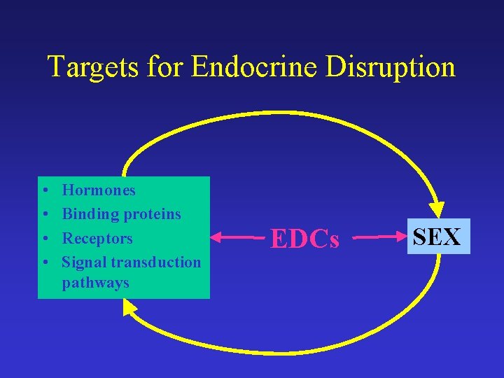 Targets for Endocrine Disruption • • Hormones Binding proteins Receptors Signal transduction pathways EDCs