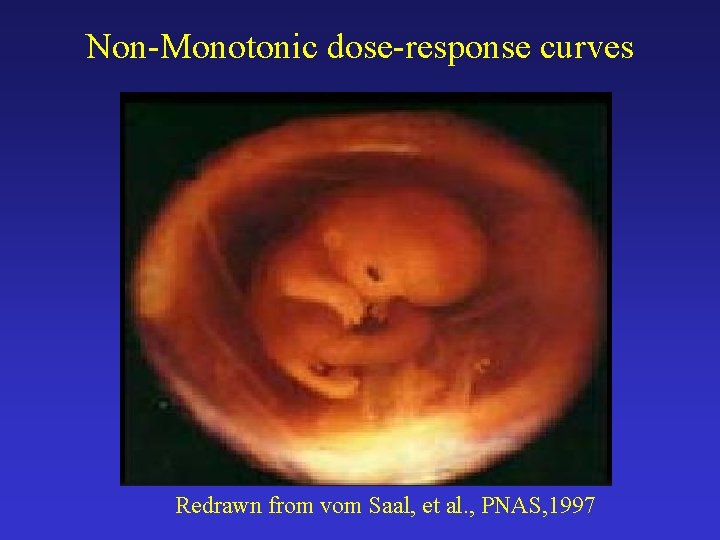 Non-Monotonic dose-response curves Redrawn from vom Saal, et al. , PNAS, 1997 