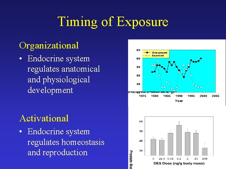 Timing of Exposure Organizational • Endocrine system regulates anatomical and physiological development Activational •