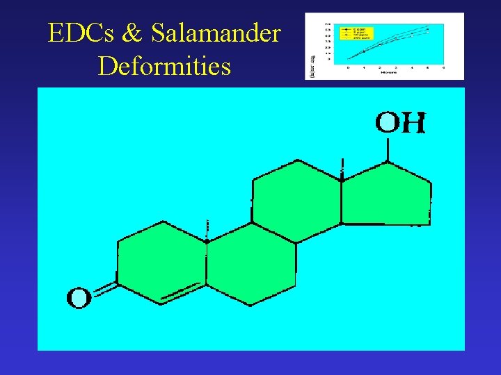 EDCs & Salamander Deformities 