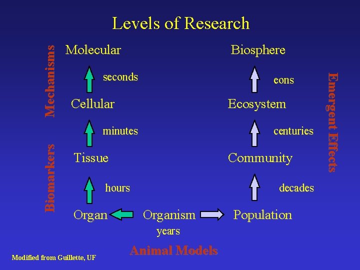 Molecular Biosphere seconds eons Cellular Ecosystem Biomarkers minutes centuries Tissue Community hours Organ decades