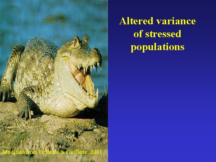 Altered variance of stressed populations Modified from Orlando & Guillette, 2001 