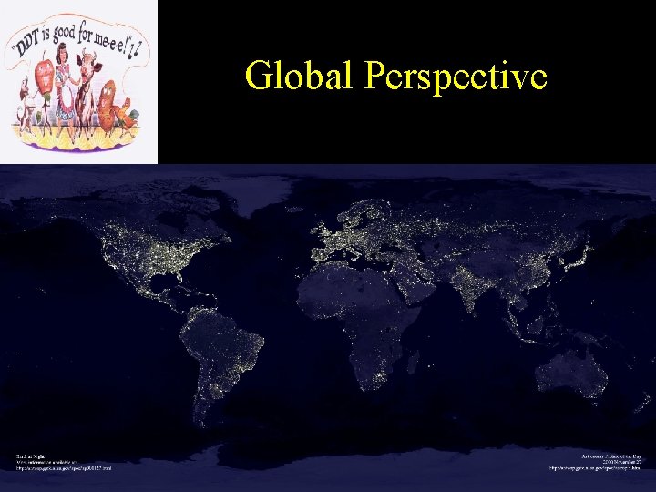 Global Perspective 