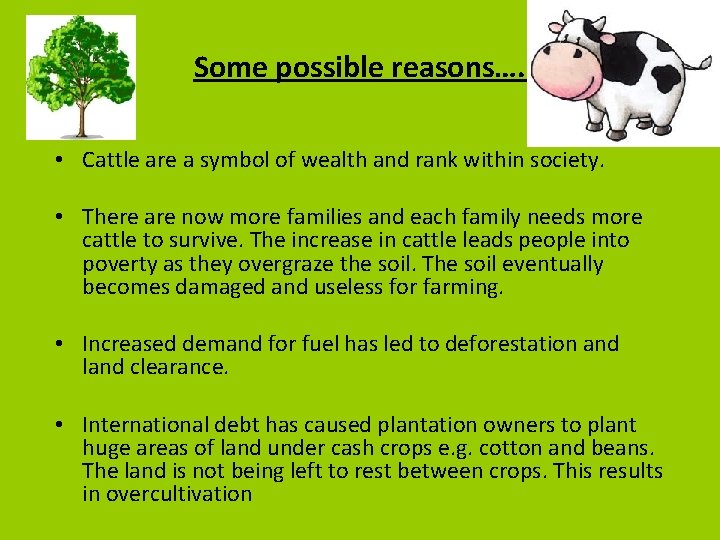 Some possible reasons…. • Cattle are a symbol of wealth and rank within society.