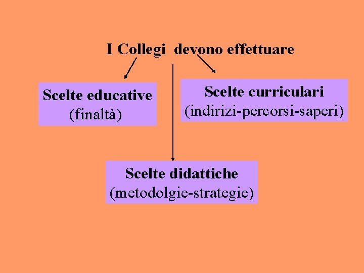 I Collegi devono effettuare Scelte educative (finaltà) Scelte curriculari (indirizi-percorsi-saperi) Scelte didattiche (metodolgie-strategie) 