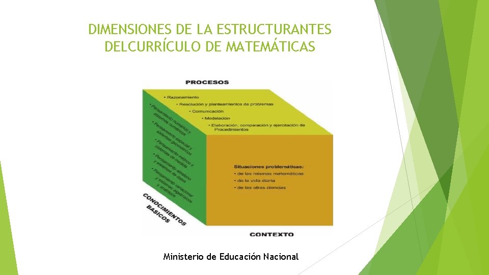 DIMENSIONES DE LA ESTRUCTURANTES DELCURRÍCULO DE MATEMÁTICAS Ministerio de Educación Nacional 