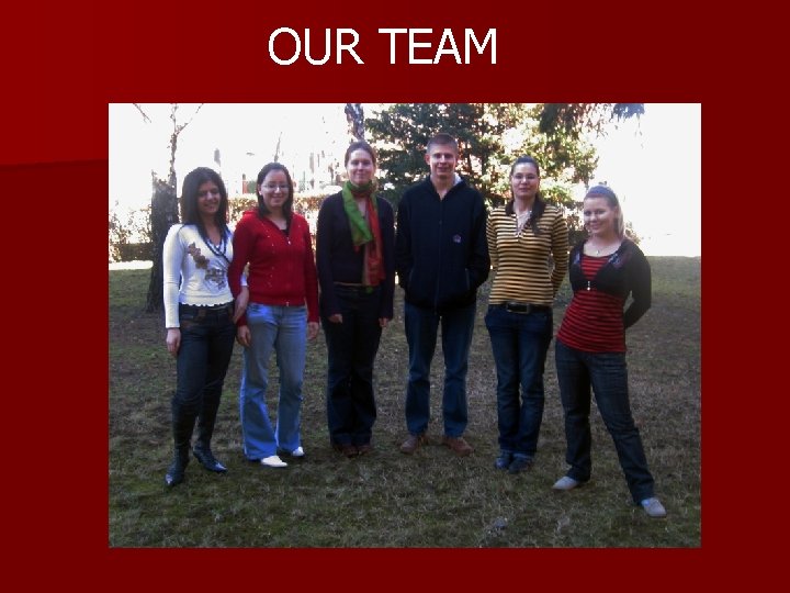 OUR TEAM 