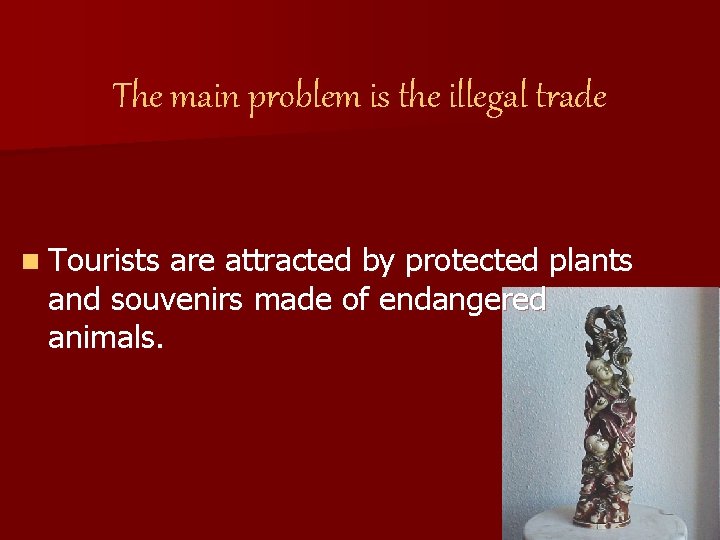 The main problem is the illegal trade n Tourists are attracted by protected plants The main problem is the illegal trade n Tourists are attracted by protected plants
