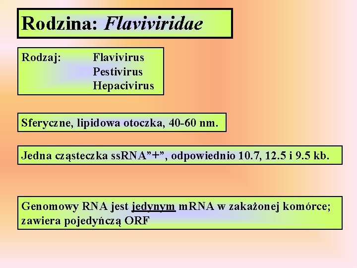 Rodzina: Flaviviridae Rodzaj: Flavivirus Pestivirus Hepacivirus Sferyczne, lipidowa otoczka, 40 -60 nm. Jedna cząsteczka