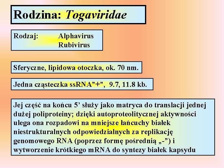 Rodzina: Togaviridae Rodzaj: Alphavirus Rubivirus Sferyczne, lipidowa otoczka, ok. 70 nm. Jedna cząsteczka ss.