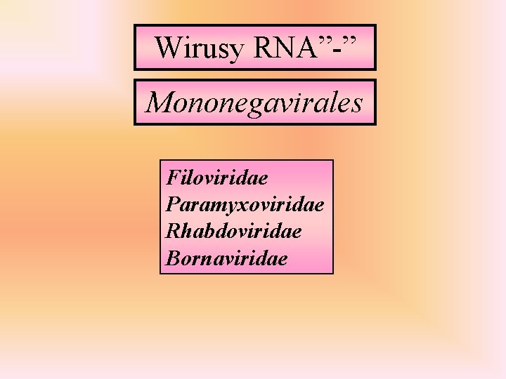 Wirusy RNA”-” Mononegavirales Filoviridae Paramyxoviridae Rhabdoviridae Bornaviridae 