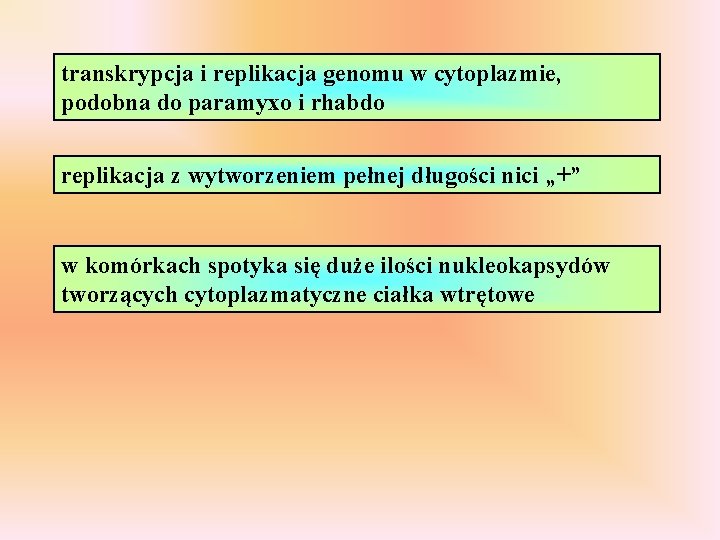 transkrypcja i replikacja genomu w cytoplazmie, podobna do paramyxo i rhabdo replikacja z wytworzeniem