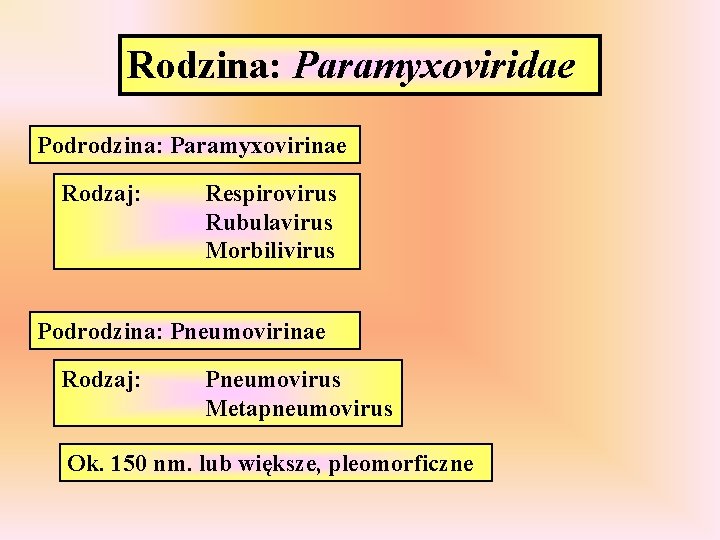 Rodzina: Paramyxoviridae Podrodzina: Paramyxovirinae Rodzaj: Respirovirus Rubulavirus Morbilivirus Podrodzina: Pneumovirinae Rodzaj: Pneumovirus Metapneumovirus Ok.