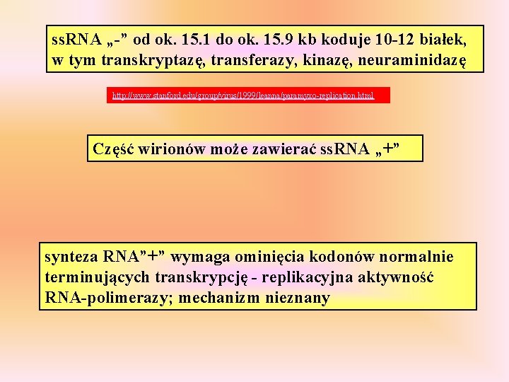 ss. RNA „-” od ok. 15. 1 do ok. 15. 9 kb koduje 10