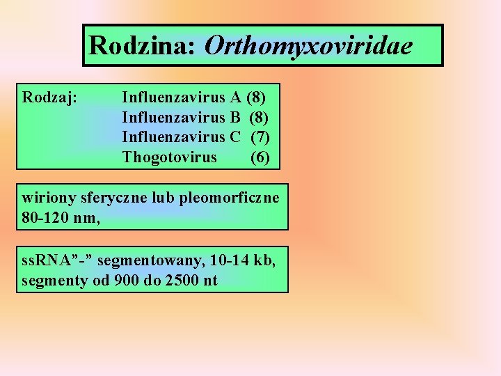 Rodzina: Orthomyxoviridae Rodzaj: Influenzavirus A (8) Influenzavirus B (8) Influenzavirus C (7) Thogotovirus (6)