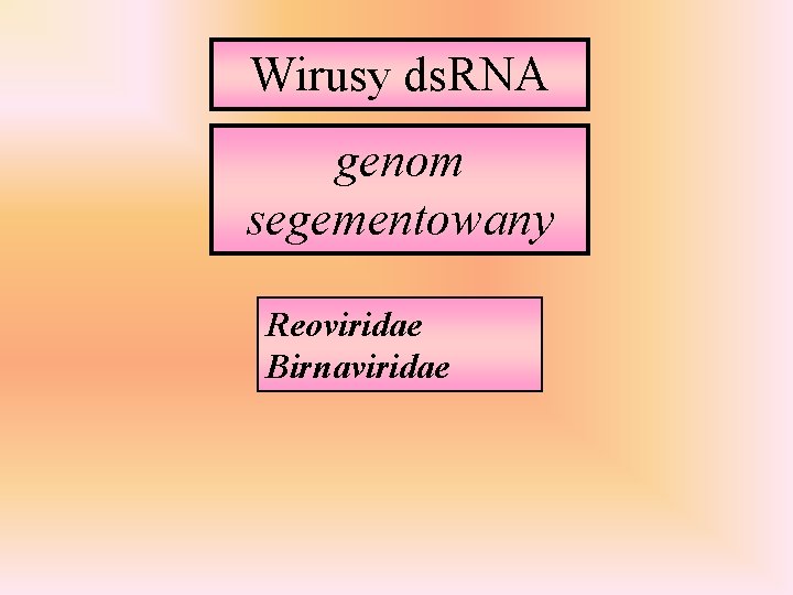Wirusy ds. RNA genom segementowany Reoviridae Birnaviridae 