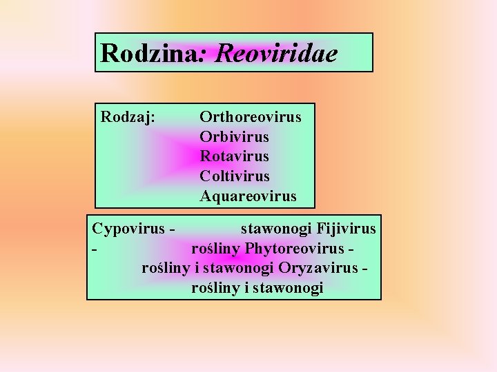 Rodzina: Reoviridae Rodzaj: Orthoreovirus Orbivirus Rotavirus Coltivirus Aquareovirus Cypovirus stawonogi Fijivirus rośliny Phytoreovirus rośliny