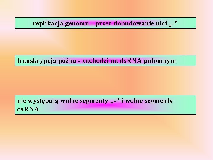 replikacja genomu - przez dobudowanie nici „-” transkrypcja późna - zachodzi na ds. RNA