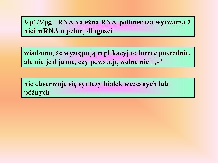 Vp 1/Vpg - RNA-zależna RNA-polimeraza wytwarza 2 nici m. RNA o pełnej długości wiadomo,