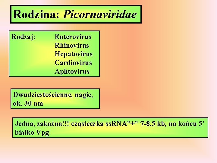 Rodzina: Picornaviridae Rodzaj: Enterovirus Rhinovirus Hepatovirus Cardiovirus Aphtovirus Dwudziestościenne, nagie, ok. 30 nm Jedna, Rodzina: Picornaviridae Rodzaj: Enterovirus Rhinovirus Hepatovirus Cardiovirus Aphtovirus Dwudziestościenne, nagie, ok. 30 nm Jedna,