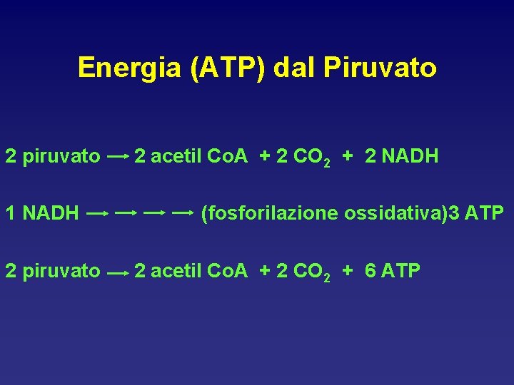 Energia (ATP) dal Piruvato 2 piruvato 1 NADH 2 piruvato 2 acetil Co. A