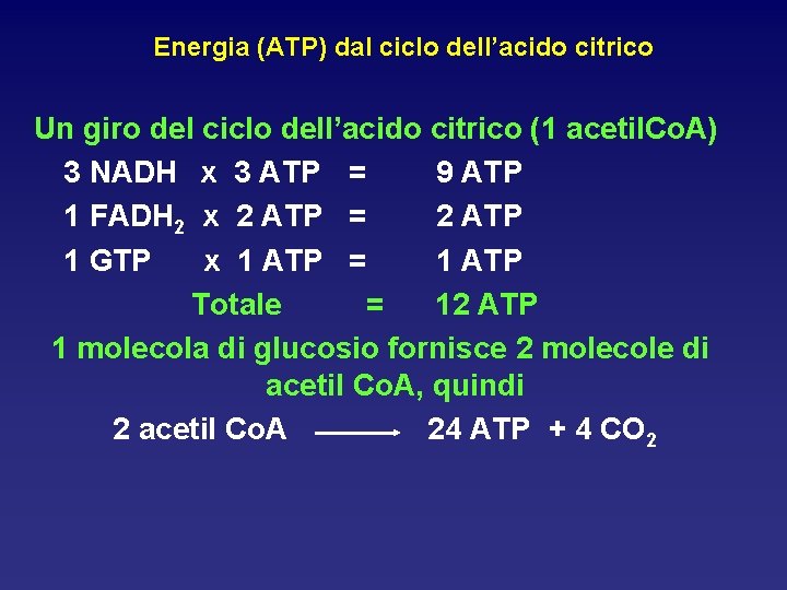 Energia (ATP) dal ciclo dell’acido citrico Un giro del ciclo dell’acido citrico (1 acetil.