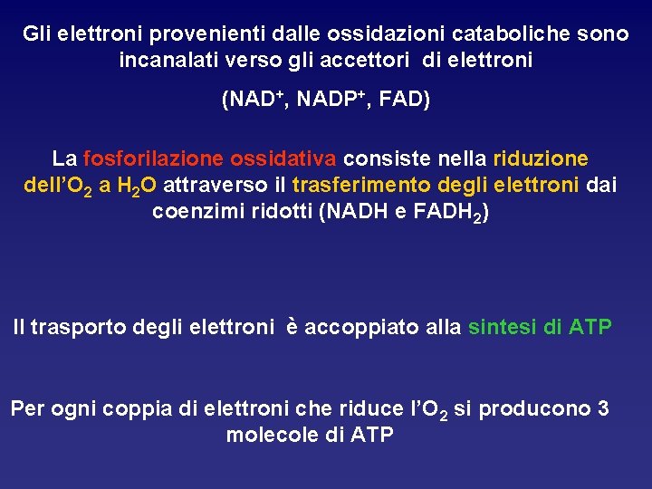 Gli elettroni provenienti dalle ossidazioni cataboliche sono incanalati verso gli accettori di elettroni (NAD+,