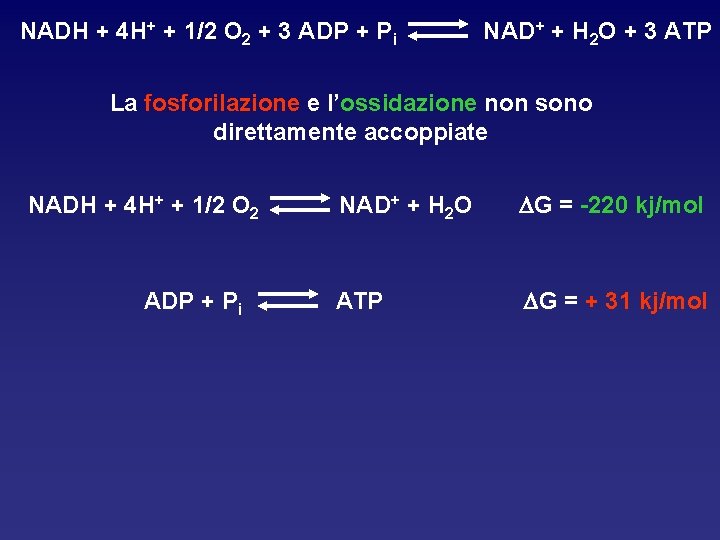 NADH + 4 H+ + 1/2 O 2 + 3 ADP + Pi NAD+