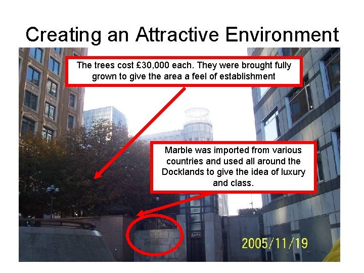 Creating an Attractive Environment The trees cost £ 30, 000 each. They were brought