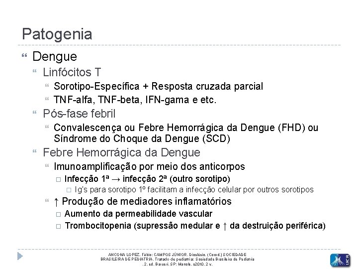 Patogenia Dengue Linfócitos T Pós-fase febril Sorotipo-Específica + Resposta cruzada parcial TNF-alfa, TNF-beta, IFN-gama