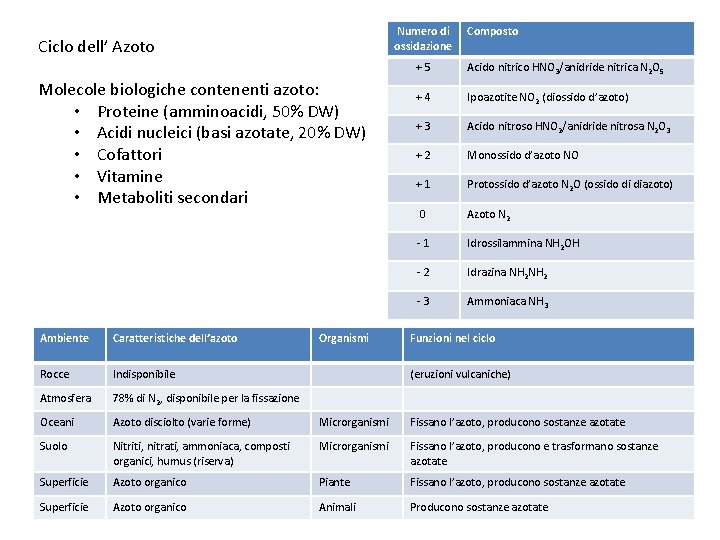 Numero di ossidazione Ciclo dell’ Azoto Molecole biologiche contenenti azoto: • Proteine (amminoacidi, 50%