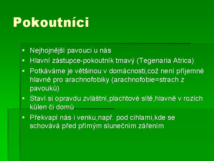 Pokoutníci § § § Nejhojnější pavouci u nás Hlavní zástupce-pokoutník tmavý (Tegenaria Atrica) Potkáváme