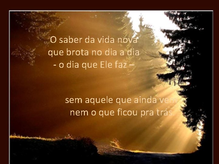 O saber da vida nova que brota no dia a dia - o dia