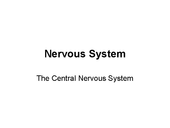 Nervous System The Central Nervous System 