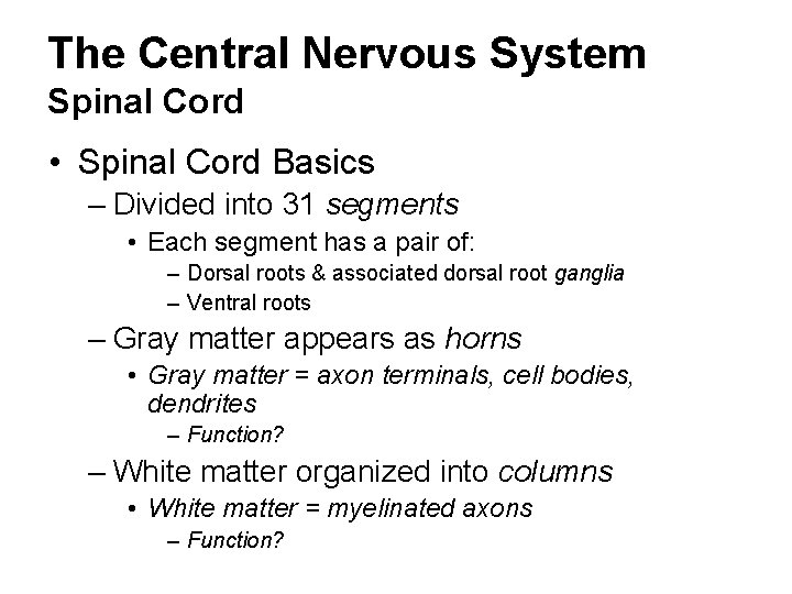 The Central Nervous System Spinal Cord • Spinal Cord Basics – Divided into 31