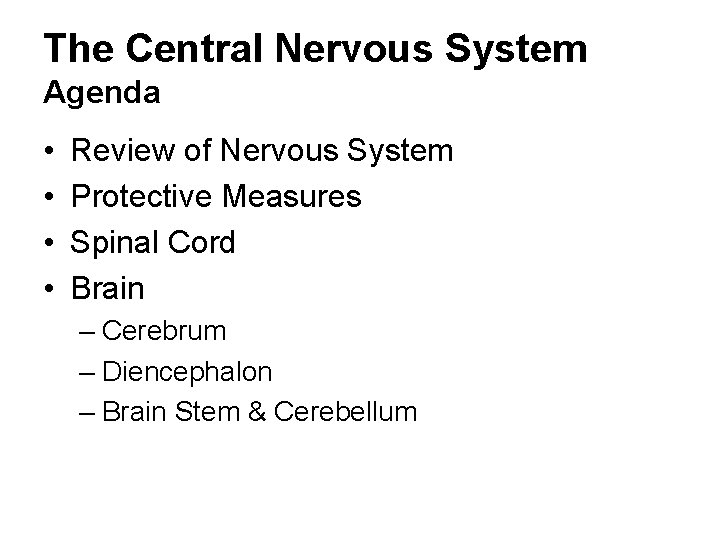 The Central Nervous System Agenda • • Review of Nervous System Protective Measures Spinal