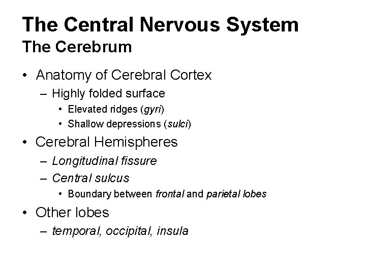 The Central Nervous System The Cerebrum • Anatomy of Cerebral Cortex – Highly folded