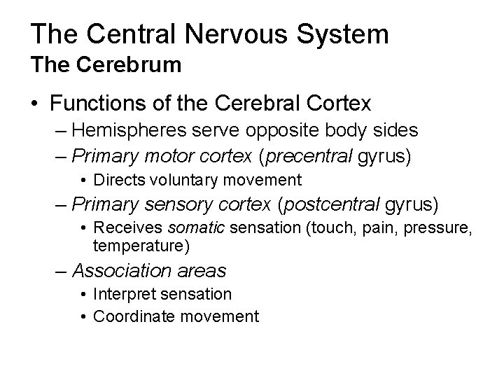 The Central Nervous System The Cerebrum • Functions of the Cerebral Cortex – Hemispheres