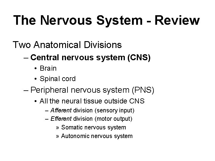 The Nervous System - Review Two Anatomical Divisions – Central nervous system (CNS) •