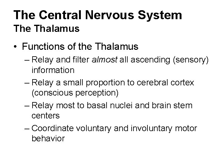 The Central Nervous System The Thalamus • Functions of the Thalamus – Relay and