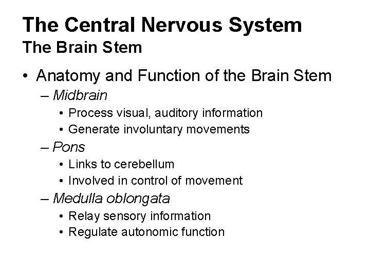 The Central Nervous System The Brain Stem • Anatomy and Function of the Brain