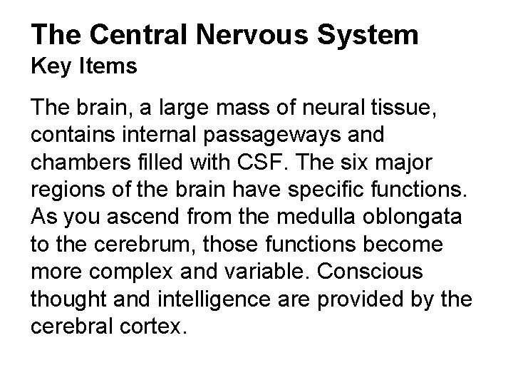 The Central Nervous System Key Items The brain, a large mass of neural tissue,