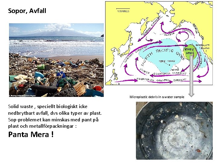 Sopor, Avfall Microplastic debris in a water sample Solid waste , speciellt biologiskt icke